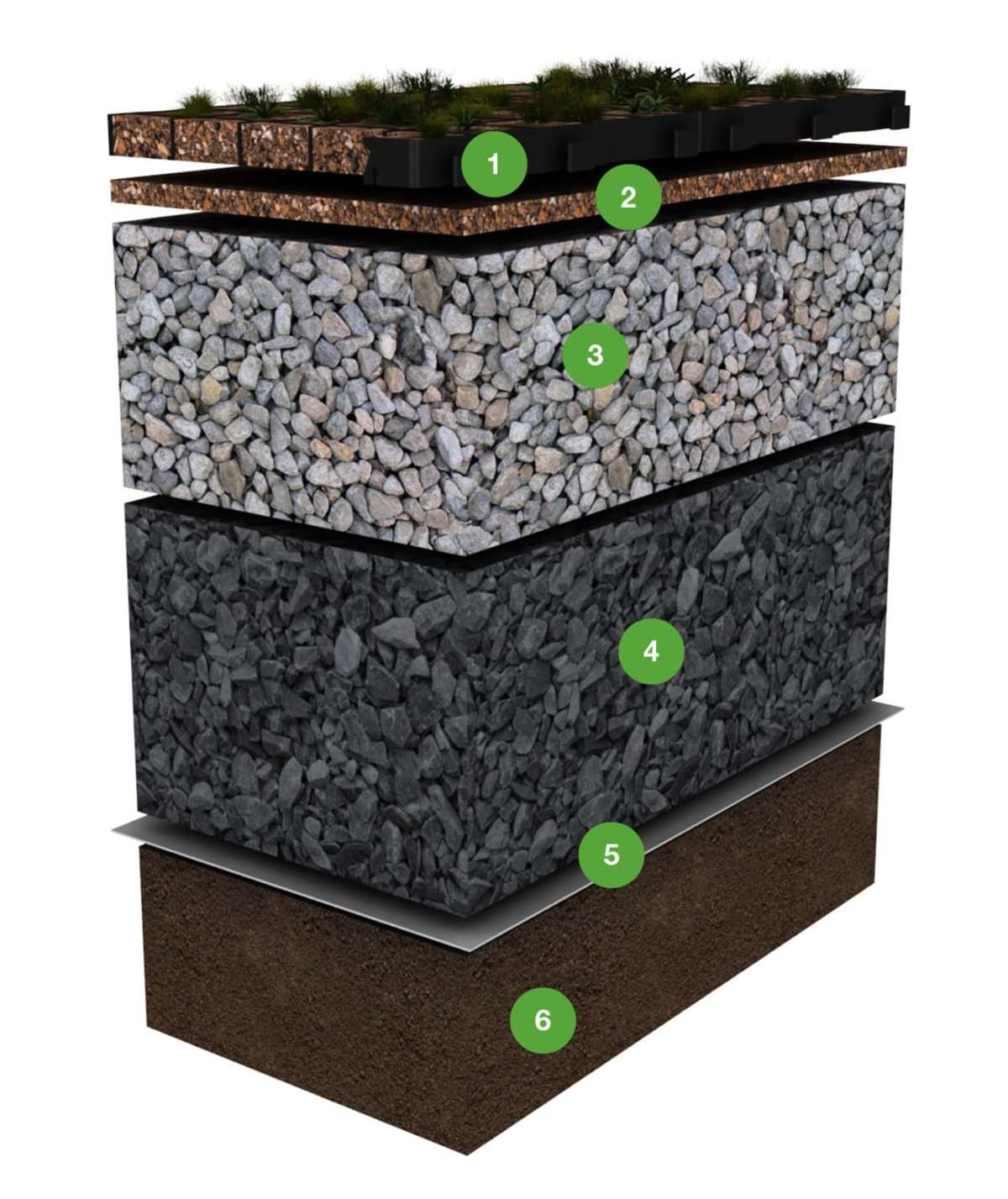 csm_ecoraster-Microgreen_2