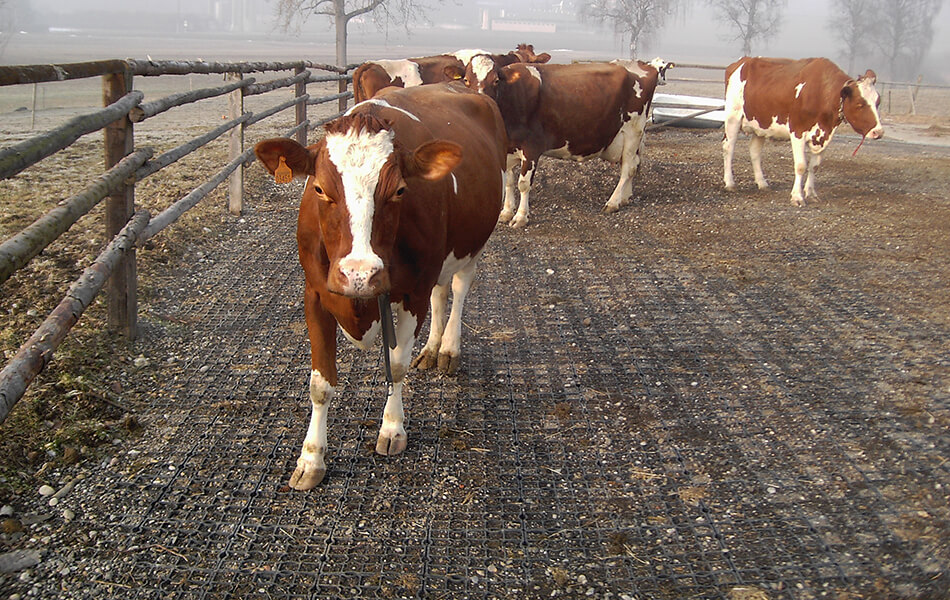 Landwirtschaft_001