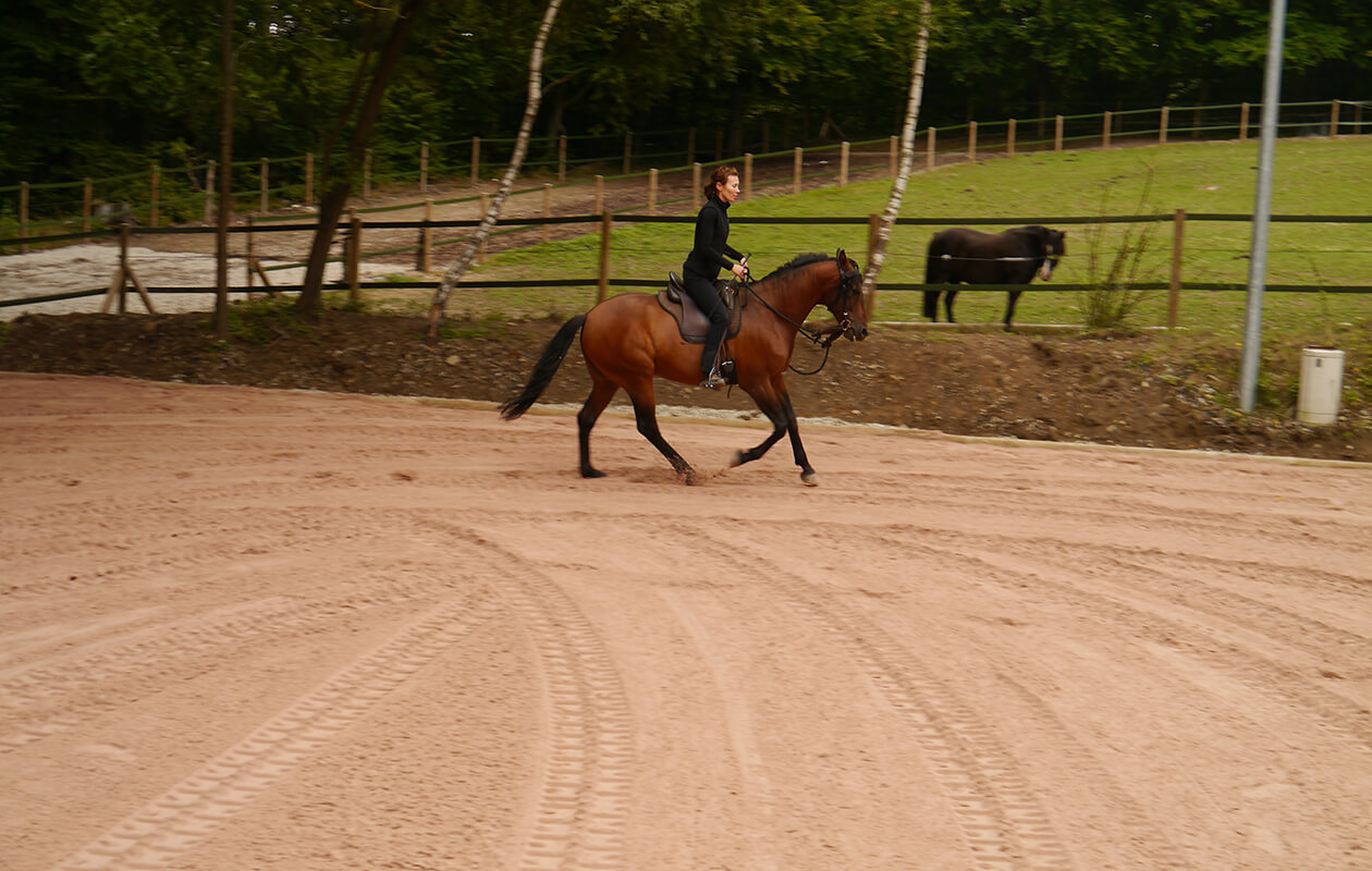 reitsport_reitplatz_04