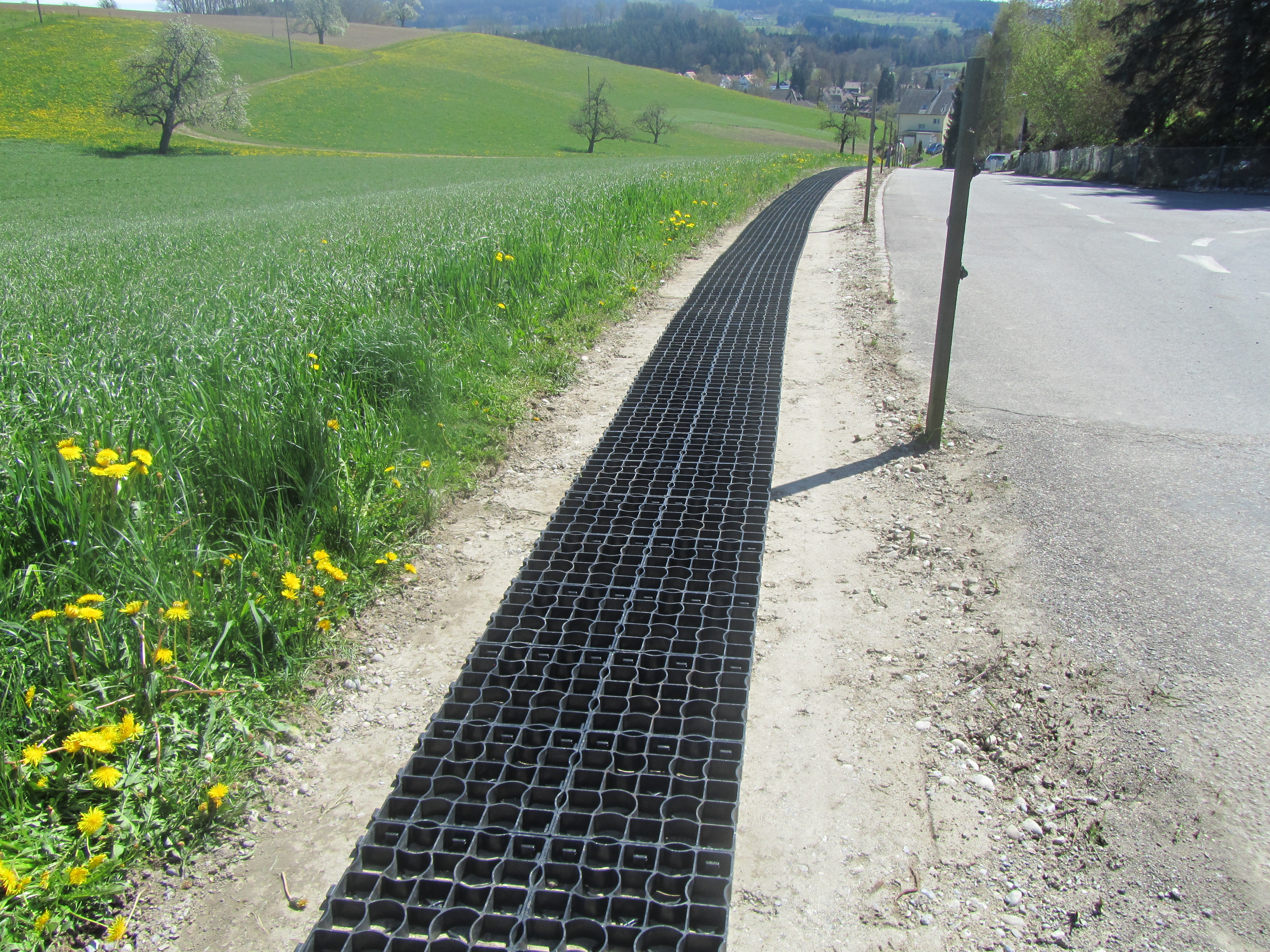 Schweiz_DirimAG_Ecoraster E50 Weideweg Schiess 9213 Hauptwil TG Weideeingang (5)