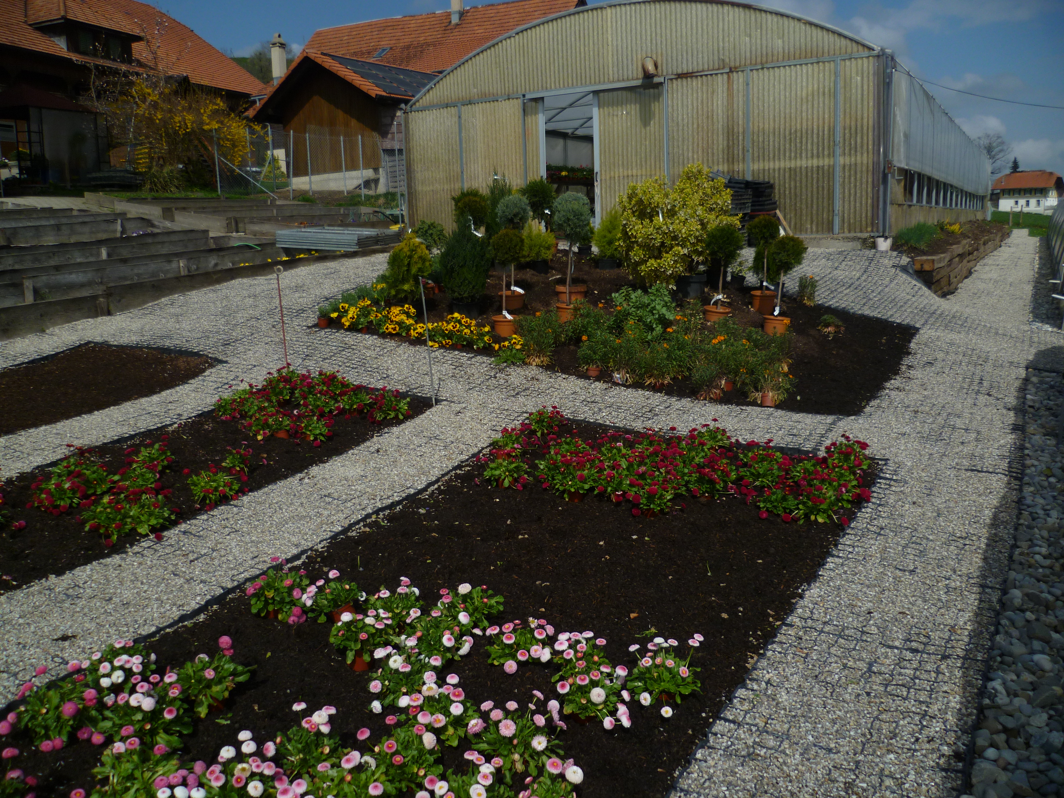 Schweiz_DirimAG_Ecoraster Gartenbau Eicher 6170 Schüpfheim LU (2)